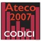 Classificazione Ateco 2007 Codice Attività Economica