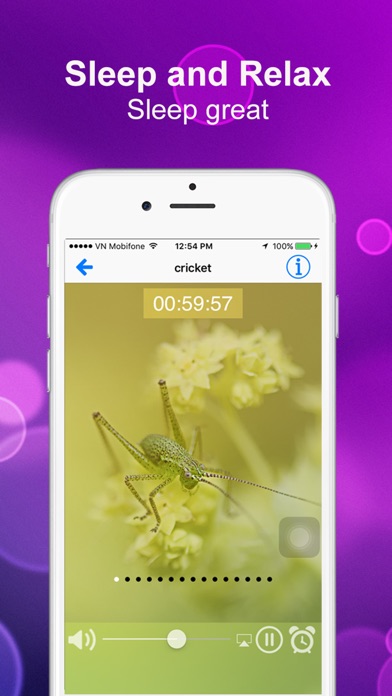 RELAX & SLEEP : NATURE SOUNDS, MELODIES OF LIFE SỨC KHOẺ RELAX & SLEEP : NATURE SOUNDS, MELODIES OF LIFE