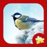 Get Christmas Jigsaw Puzzle - Mind Game for iOS, iPhone, iPad Aso Report