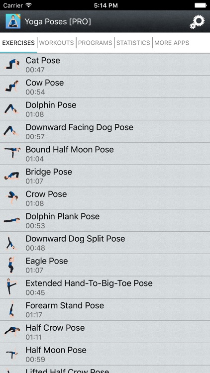 Yoga Poses Instructor & Video Sessions Exercises