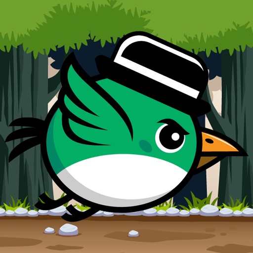 Bird in Hat iOS App