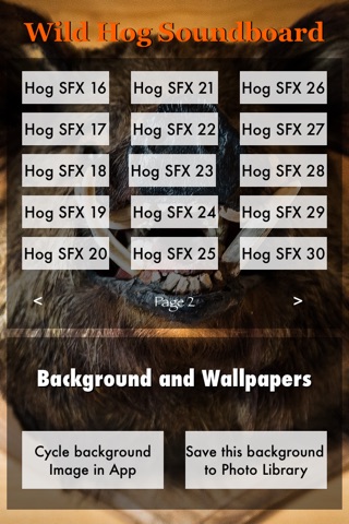 Wild Hog Sound Effects Including Calls, Grunts, Snorts and More PLUS Bonus Wallpapers screenshot 2