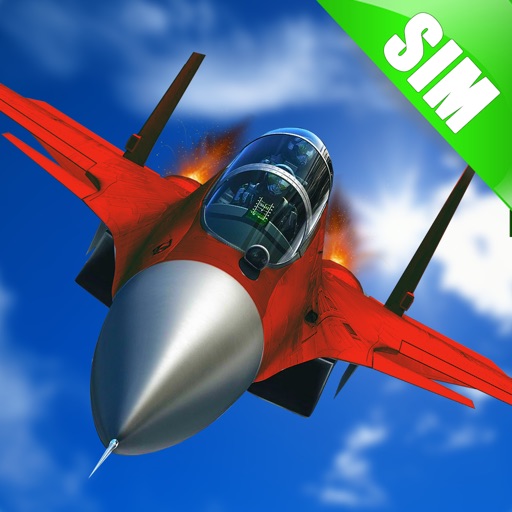 Flight Simulation Fighter icon