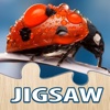 Nature Flowers and Bug Jigsaw Puzzle for Adults