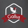 Gallus - Organization and Control