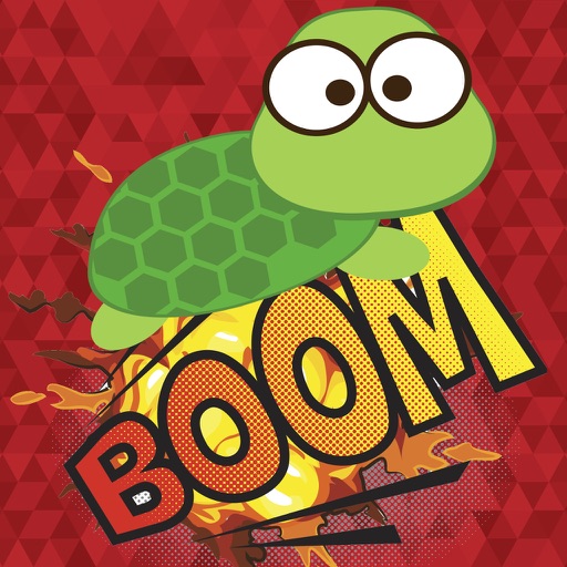 Turtle Rocket Free Game