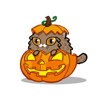 Fancy Cats Halloween Sticker Pack