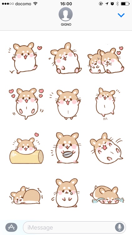 Fluffy Roborovskii hamster