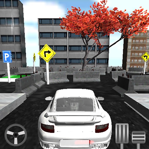 Car Parking Race 3D Icon