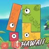 Hawaii Puzzle