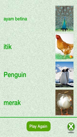 Flashcards Malay Lesson(圖4)-速報App