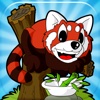 Panda Kids Zoo Games
