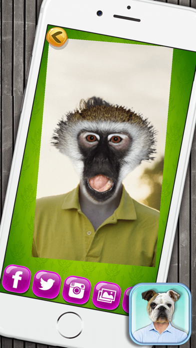 How to cancel & delete Animal Face Photo Booth with Funny Pet Sticker.s from iphone & ipad 3