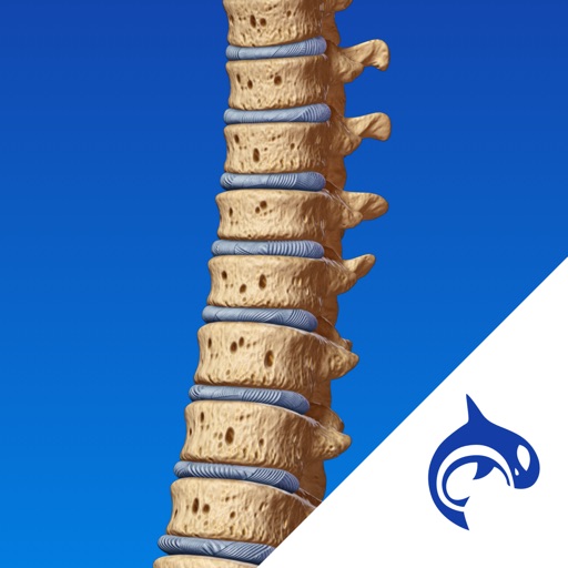 Spine Decide - Education & Engagement Icon