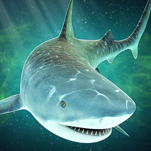 Haifisch Spiele Haifisch Spiele