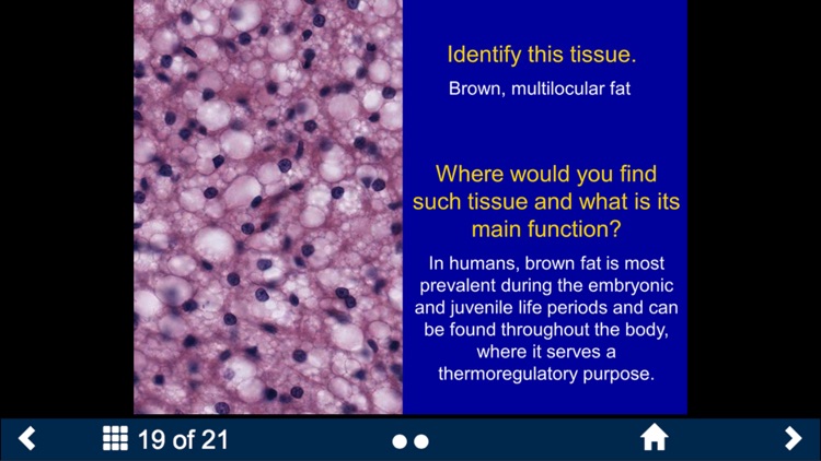 Histology Complete - SecondLook screenshot-4