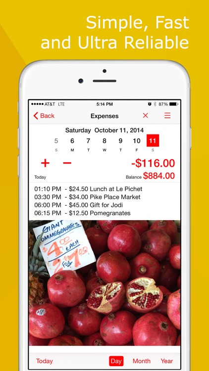 Money Tracker: Expense Manager