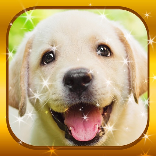 Magic Puzzles - Pet Jigsaw Puzzle Games for Free Icon