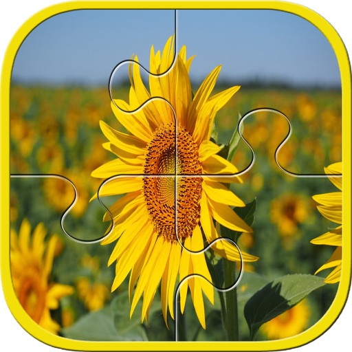 Flower Jigsaw Puzzle learning For Kids & Toddler iOS App