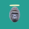 Harambe Lives On Sounds