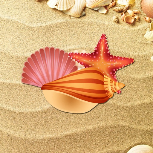 Seashell PhotoFrames