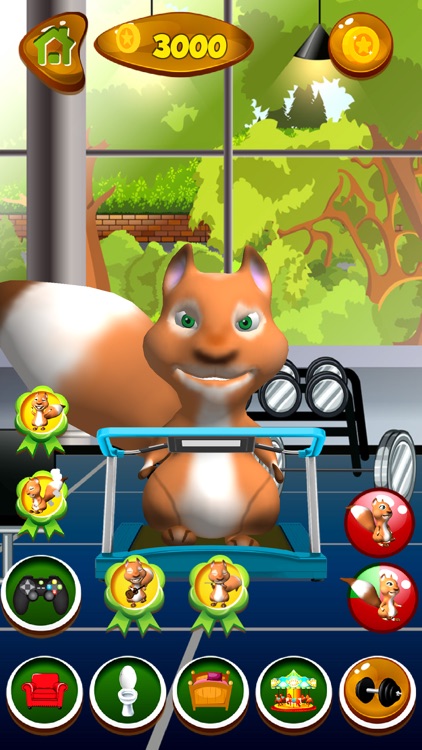 Talking Squirrel screenshot-4