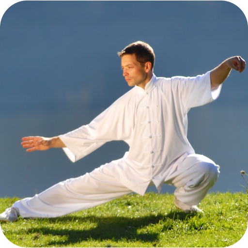 Tai Chi For Beginners - Stages of Development icon