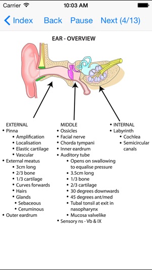 Anatomy Lectures Head and Neck(圖3)-速報App