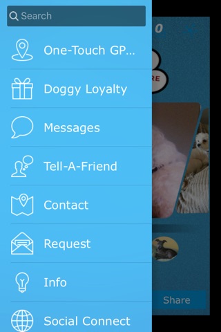 Surrey Dog Daycare screenshot 2