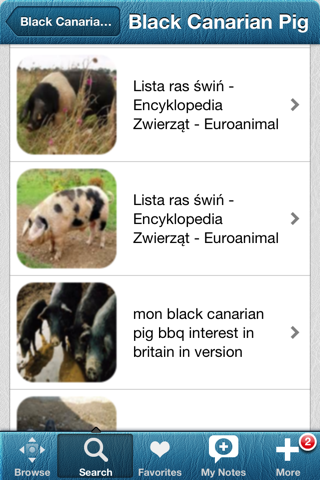 1500 Pig Breeds, Medical Dictionary screenshot 2