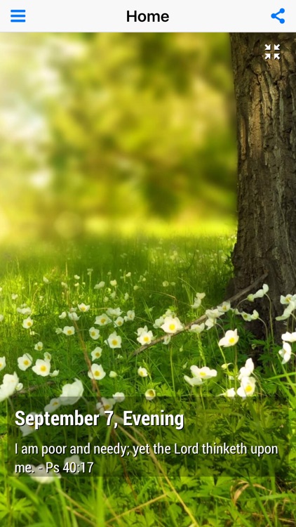 God's Light for Your Life - Daily Devotional (Lite)