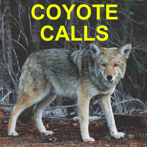 Coyote Calls for Hunting iOS App