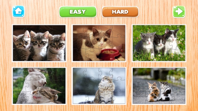 貓 謎 遊戲 動物 拼圖 謎題 為 成年人(圖3)-速報App