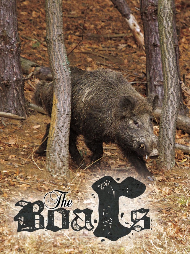 Hog Hunting Magazine(圖4)-速報App