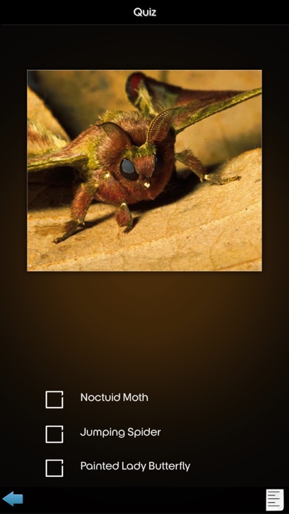 Insects Collection screenshot-4