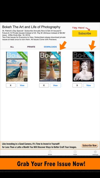 Bokeh Digital Photography Magazine Business Tips