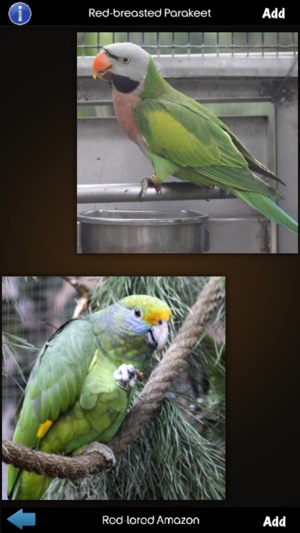 Parrot Species Guide(圖1)-速報App