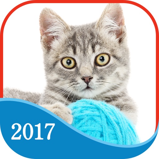 365 Cats Page-A-Day Calendar 2017 iOS App