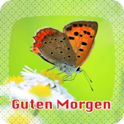 Guten Morgen 7 Tage Читы