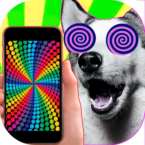 Hypnosis for dogs and cats optical illusions prank icon