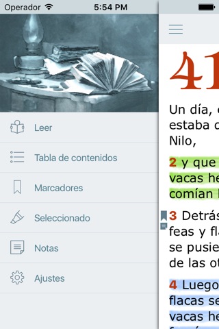 Biblia Dios Habla Hoy en Audio screenshot 3