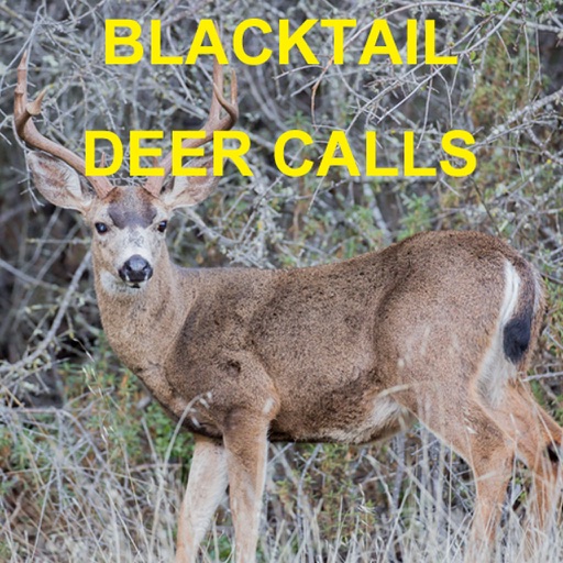 Blacktail Deer Calls Sounds iOS App