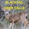 Blacktail Deer Calls Sounds