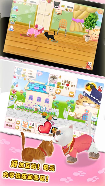 晴天小猫 screenshot-4