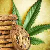 Weed Cookbook 2 - Medical Marijuana Recipes & Cook App Support