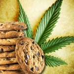 Download Weed Cookbook 2 - Medical Marijuana Recipes & Cook app