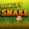 You have to guide the snake with left or right touch on screen and feed the snake