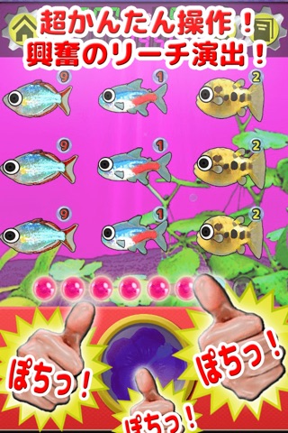 River Story - Simple Pachinko SLOT GAME - screenshot 3