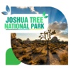Joshua Tree National Park Travel Guide