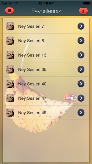 Ney Zil Sesleri(圖4)-速報App